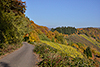 Angebot Wandern3